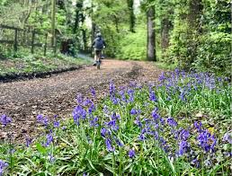 Trip.com provides tourists with the camel trail attraction address, business hours, brief introduction, open hours, nearby recommendation, restaurant, reviews etc. Enjoy A Day Out On The Camel Trail Mother Ivey S Bay Holiday Park