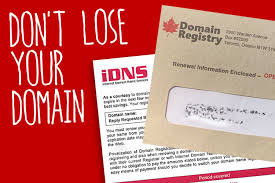 Don T Lose Your Domain Name To A Scammer Nine10 Incorporated