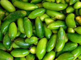 Ivy Gourd Sync With Nature