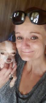 Free animals in Van buren and Alma surrounding areas.