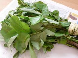 Health Benefit Of Oha Leaves English Wellnest Low Carb Foods Fitness Accessories Facebook