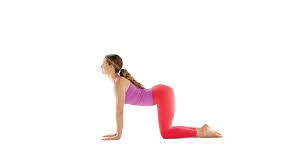 Learn the cat cow stretch from theanxietystore.com. Cow Pose Bitilasana