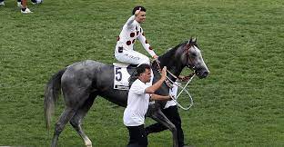 Gazi koşusu'nun kayıtları belli oldu. 90 Gazi Kosusu Nu Graystorm Kazandi 2016 Gazi Kosusu Ntv