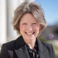 3600+ "Perrine -brown" profiles