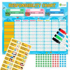 D Fantix Magnetic Responsibility Chart Chore Chart For