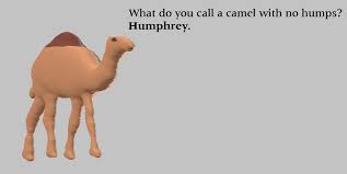 11 thoughts on what do you call a three humped camel? hio. Humphrey The Camel Joke By Mjegameandcomicfan89 On Deviantart