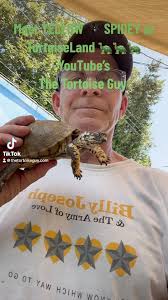 Meet Yellow Spidey 🕷️ the biting Box Turtle of Tortoiseland