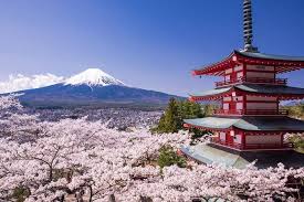Mt Fuji 5th Station Tour Gotemba Outlet Shopping From Tokyo 2021