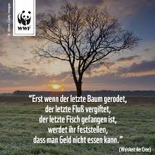 Zitat Zum Sonntag Erst Wenn Der Letzte Baum Gerodet Der Letzte Fluss Vergiftet Der Letzte Fisch G Indianische Weisheiten Rettet Unsere Erde Weisheiten Leben