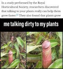 Penis flytrap : r/memes