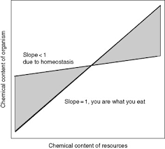 Homeostasis An Overview Sciencedirect Topics