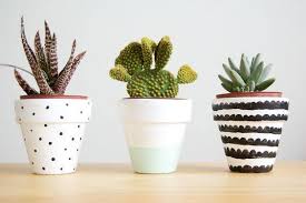 Dentro de casa o en exterior, serán capaces de cambiar por completo la estética de una pared al tiempo que la proclaman protagonista indiscutible del espacio. Decoracion Con Plantas Hazlo Tu Misma