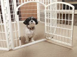 Maybe you would like to learn more about one of these? The Best Dog Pens You Can Buy