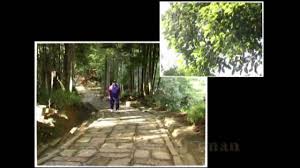 Rumah Peranginan Persekutuan Tasik Kenyir Terengganu Youtube