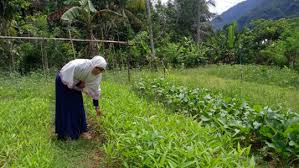 Cari rumah dijual di lowongan kerja terbaru di jawa barat. Cptls Nbftddum