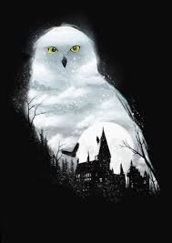 Harry Potter Hedwig Wallpapers Top Free Harry Potter Hedwig Backgrounds Wallpaperaccess I had a hard time finding a good hedwig, from harry potter, tattoo but i love the result! harry potter hedwig wallpapers top