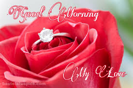 Good Morning Romantic Rose Flower Pictures In 2020 Good Morning Romantic Rose Flower Pictures Cute Good Morning Images