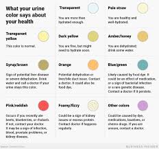 Chronic Kidney Disease Kidney Stones
