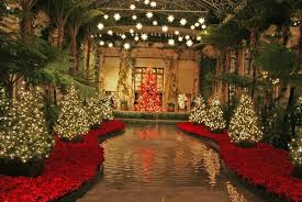 Poinsettias Symbols Of The Holiday Season The Laptop Gardener Best Christmas Lights Longwood Gardens Christmas Best Christmas Light Displays