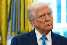 dan haddock (@danhaddock3)