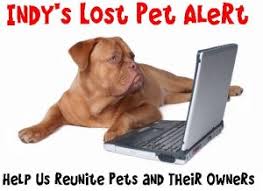 As animal lovers all over the uk, we all know how distressing it is for one of our beloved pets to go missing, they mean. Indianapolis Lost Dog Website Social Network Helps Find Missing Pets Beverly S Pet Resort Blog