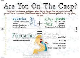 Whether it is the pair of leo. Astrology Cusp Cards Salutations By Scully Greeting Cards Pisces And Aquarius Aquarius Pisces Cusp Aquarius Life