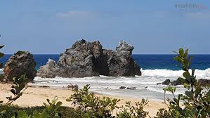 Quail creek, ok real estate and homes for sale. 7 Best Things To See In Bermagui Indefinite Leave