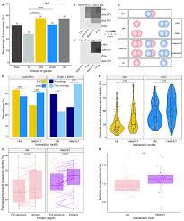 For example, the gene mecp2 (methyl cpg binding protein 2) encodes a protein that binds to specific methylated regions of dna and contributes to the silencing of those sequences. The Role Of Structural Pleiotropy And Regulatory Evolution In The Retention Of Heteromers Of Paralogs Elife
