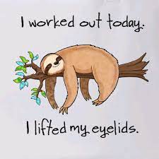 Pin By Monika N Hernandez On Sloth My Spirit Animal My Spirit Animal Spirit Animal Sloth