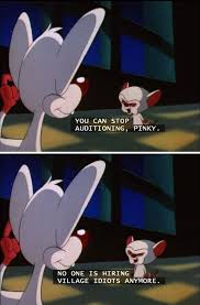 Pinky And The Brain Village Idiots Cartoon Crazy Animaniacs Cartoon Junkie