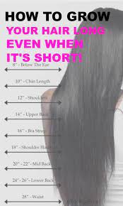 Although genetic factors can contribute to individual differences, it is not as when your hair becomes thicker and denser, it will look longer too. Short Hair To Long Hair Growth Novocom Top