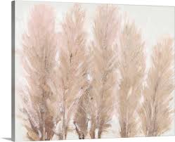 It needs space, so putting it in a small container won't be a good idea. Pampas Grass I Wall Art Canvas Prints Framed Prints Wall Peels Great Big Canvas