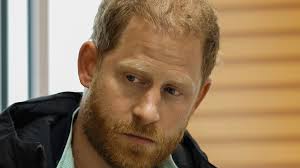 Prince Harry insiders insist Duke was safe in Ukraine warzone because he  had 'robust security unlike in UK' as royal is accused of 'hypocrisy' for  trip to city where Putin has killed