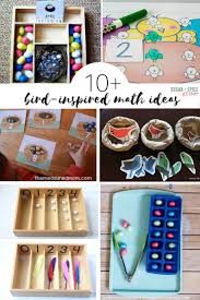 Montessori toddler curriculum (ages 18 months to three years). 50 Ideas For A Preschool Bird Unit Study Sugar Spice And Glitter
