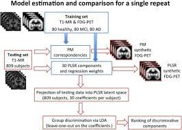Multimodal Image Analysis In Alzheimer S Disease Via Statistical Modelling Of Non Local Intensity Correlations Scientific Reports