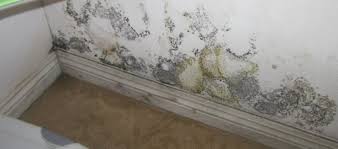Moisture / wet area products. Can Wet Carpet And Drywall Be Rescued Christian Brothers Water Damage Sd