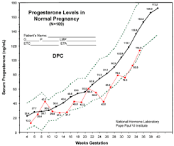 Progesterone Support In Pregnancy