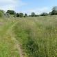 S is for Saltmarsh - A Guided Nature Walk event image