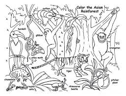This amazing bundle features eight coloring pages including narwhal, wolverine, polar bear, arctic fox, snowy owl, arctic tern, peregrine falcon, and gyrfalcon. Coloring Page For Jungle Animals
