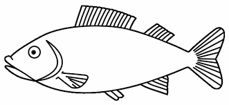 Desenhos Para Colorir De Peixes Bora Colorir