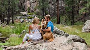 Flagstaff Live Webcams - Discover Flagstaff