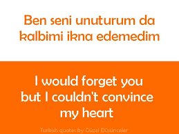 Blue Dreams Revisited Turkish Quotes Inspirational Quotes Quotes