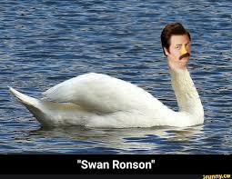Swan Ronson Swan Ronson Ifunny Parks And Recreation Memes Funny Memes