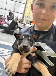 Waiting my turn to hold my Christmas present!! Thanks Mr Reynolds.