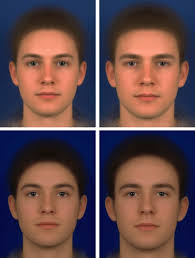 Beauty in the Hormones of the Beholder