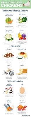 Cdc estimatesexternalexternal icon that every year about a million people get sick from eating poultry that's contaminated with harmful germs. What Do Chickens Eat A Guide On What To Feed Your Chickens Eco Peanut