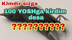 «aif»ning yozishicha, tuxum qulupnay, yog'i olinmagan sut, yeryong'oq, sitruslar bilan birga yuqori allergen mahsulotlar sirasiga kiradi. 100 Yoshga Kirish Mumkin Emasmi Youtube
