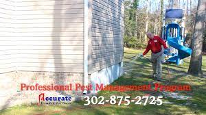 Accurate has built its reputation by providing the very best. Pest Control For Spring Summer Fall Winter Delmarva Peninsula