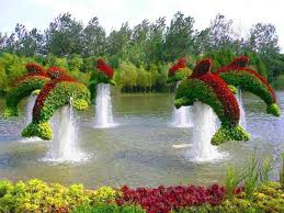 flower images க்கான பட முடிவு