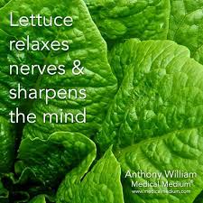 Lettuce Coconut Health Benefits Medical Medium Health Benefits